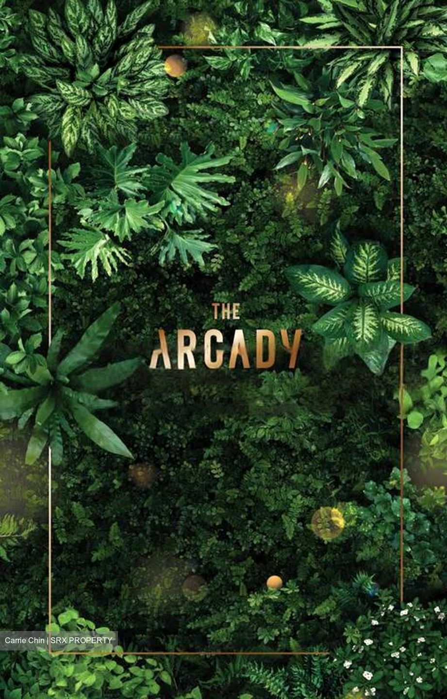 THE ARCADY AT BOON KENG (D12), Apartment #422634981